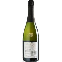Cava Brut Nature VALL D'LLUNA, botella 75 cl