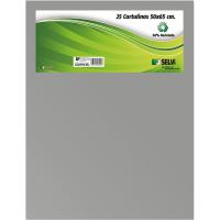 Cartulina gris de 50 x 65 cm, 1 ud  SCOLARSON