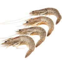 Otarrainxka zuri desizoztua, 50-60, pisura, gutxieneko erosketa 500 g