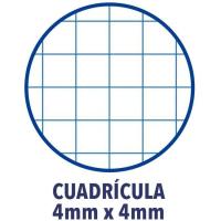 Cuaderno espiral A4 cuadriculado, 80 hojas, tapa dura con pizarra, colores surtidos vivos OXFORD, Pack 3+1 uds