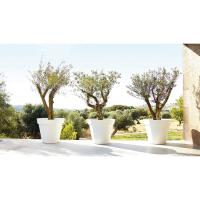 Maceta en pvc Capri, blanca, 25 cm ARTEVASI, 1 ud