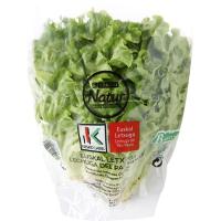 Lechuga batavia EUSKO LABEL EROSKI NATUR, bolsa 250 g