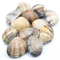 Marinel txirla japoniarra, pisura, gutxieneko erosketa 500 g