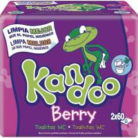 Toallitas wc frutas del bosque  KANDOO, pack 2x60 u