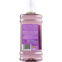 EROSKI erabateko aho irakuzketa, botila 500 ml