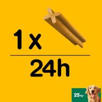 PEDIGREE DENTASTIX txakur handiak, kaxa 2,16 kg