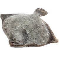 PRODEMAR hazkuntzako erreboiloa, pieza pisura gutxi gorabehera 1.8 kg