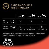 CESAR txakurrentzako barazki jakia, terrina 300 g