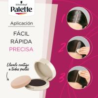 Retoca raíces compact rubio oscuro PALETTE, 1 ud
