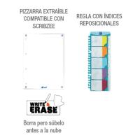 Carpeta 4 anillas A4 con recambio cuadriculado, colores surtidos You OXFORD, 1 ud