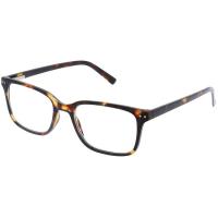 Gafa presbicia chester 2,5 SILAC, 1 ud