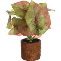 Planta artificial de hoja verde y roja en maceta KASA, Ø10 cm x alto 32 cm