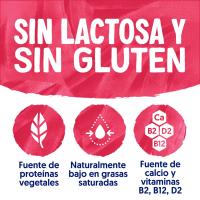 Producto fermentado de soja sabor cereza ALPRO, tarrina 400 g
