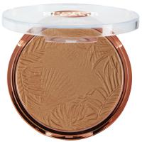 Polvos bronze terra 01 L`OREAL, 1 ud