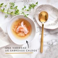 Alimento soup de pollo para gato GOURMET, sobre 40 g