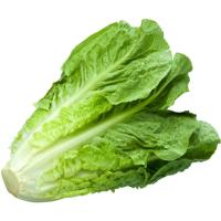 Lechuga Romana EROSKI, unidad