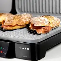 Parrilla eléctrica, 2000 W, Rock¿n Grill 2000 CECOTEC