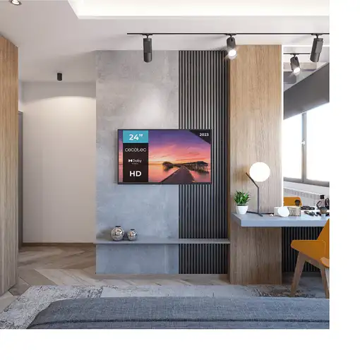 Cecotec 02610 Televisor 61 cm (24\) HD Negro