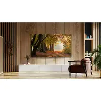 TCL P61 55P61B Televisor 139,7 cm (55\) 4K Ultra HD Smart TV Wifi Titanio