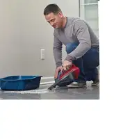 Black & Decker DVA315J aspiradora de mano Cereza (fruta), Rojo Sin bolsa