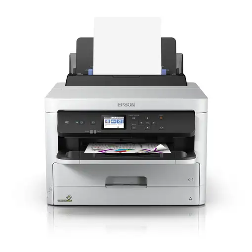 Epson DURABrite Pro