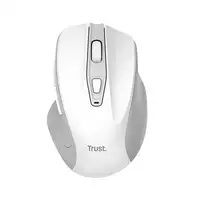 Trust Nito ratón Universal mano derecha RF inalámbrico Óptico 2200 DPI