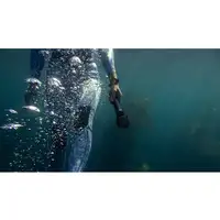 GoPro AFHGM-003 accesorio para cámara de deportes de acción Mango flotante para cá