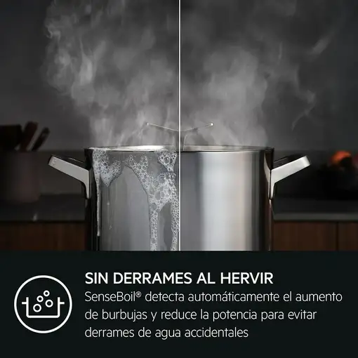 AEG TI63IQ10IZ Negro Integrado 60 cm Con placa de inducción 3 zona(s)