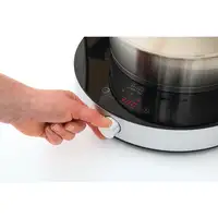 Fritel IP 1266 Negro Encimera 26 cm Con placa de inducción 1 zona(s)