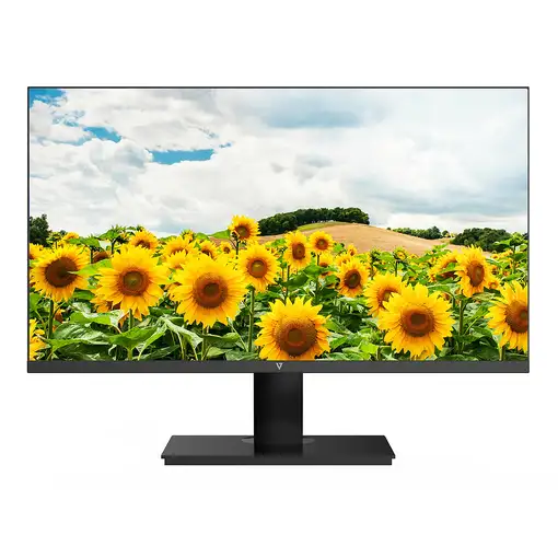 V7 Monitor LED IPS de 1920 × 1080 Full HD de 23.8″