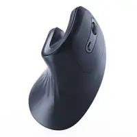 Gembird MUSW-ERGO-03 ratón Hogar mano derecha RF inalámbrico Óptico 1600 DPI