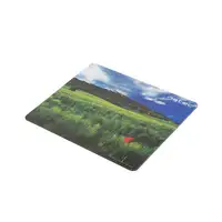 NATEC NPF-1403 alfombrilla para ratón Multicolor