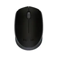 Logitech M170