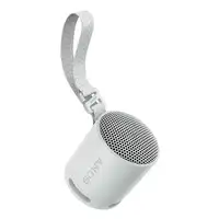 Sony SRS-XB100 Altavoz monofónico portátil Gris
