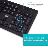 Ewent EW3256 teclado Ratón incluido Universal RF inalámbrico QWERTY Español Negro