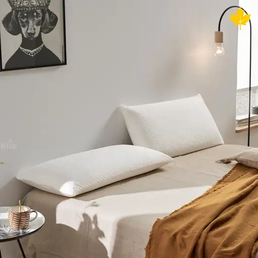 Pack Colchon + Almohada Viscoelastica + Somier Descansin | Medida 100 x 200