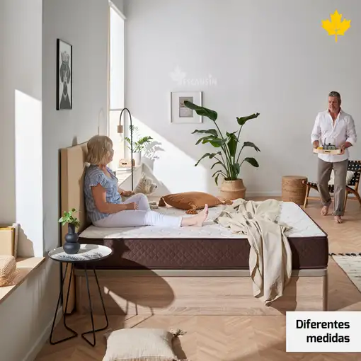 Canape Abatible 160 x 190 cm | Color Blanco | Con Subida A Domicilio | Descansin