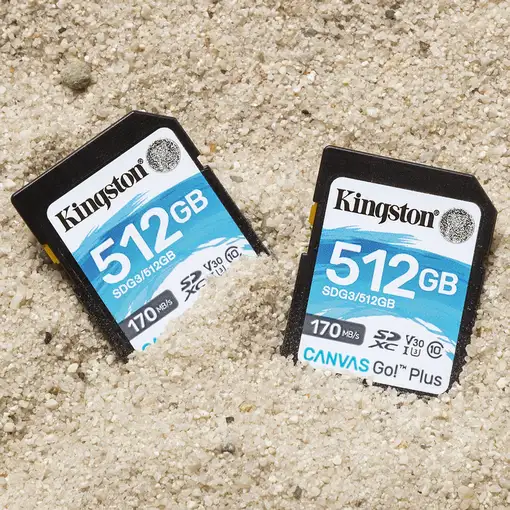 Kingston Technology Canvas Go! Plus Tarjeta SDXC Canvas Go Plus 170R C10 UHS-I U3