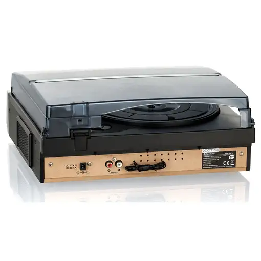 Roadstar TTR-8634 tocadisco Negro, Plata
