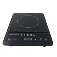 Esperanza EKH011 hobs Negro Encimera Con placa de inducción 1 zona(s)