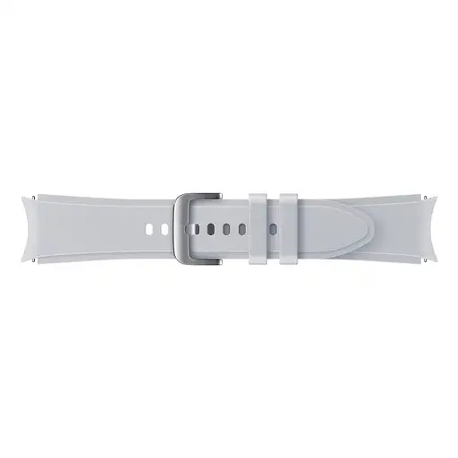 Samsung ET-SFR88SSEGEU Accesorios para dispositivos vestibles inteligentes Grupo d
