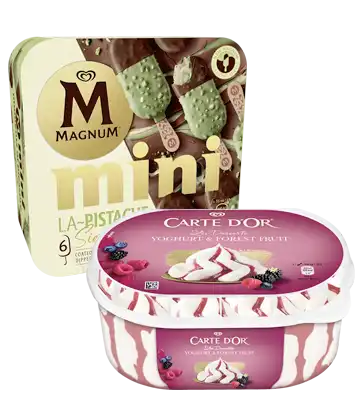 Productos Magnum