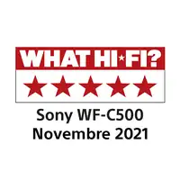 Sony WF-C500 Auriculares True Wireless Stereo (TWS) Dentro de oído Llamadas/Música
