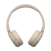 Sony WH-CH520 Auriculares Inalámbrico Diadema Llamadas/Música USB Tipo C Bluetooth