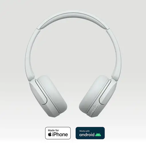 Sony WH-CH520 Auriculares Inalámbrico Diadema Llamadas/Música USB Tipo C Bluetooth