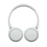 Sony WH-CH520 Auriculares Inalámbrico Diadema Llamadas/Música USB Tipo C Bluetooth