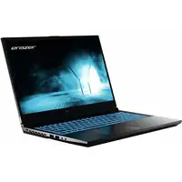 Erazer MD62593 Intel® Core™ i5 i5-12450H Portátil 39,6 cm (15.6'') Full HD 16 GB DD