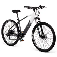 Youin Everest Negro, Blanco Aluminio L 73,7 cm (29\) 27 kg Ión de litio