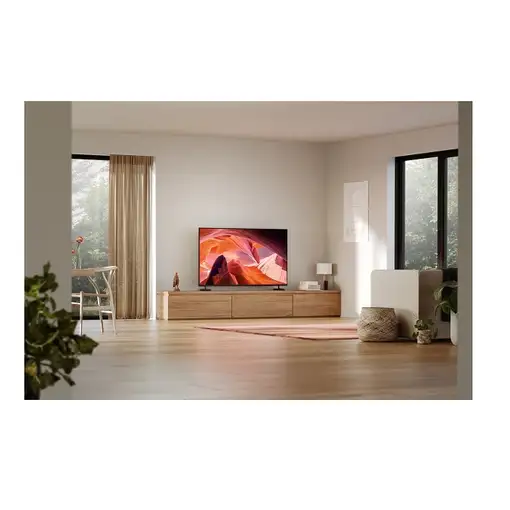 Sony FWD-65X80L Televisor 165,1 cm (65'') 4K Ultra HD Smart TV Wifi Negro