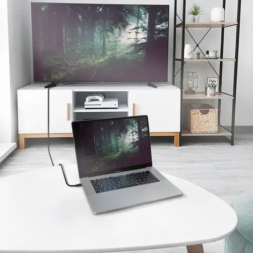 AISENS Cable Conversor Aluminio USB-C A HDMI 2.1 8k@60Hz, USB-C/M-HDMI/M, Negro, 2